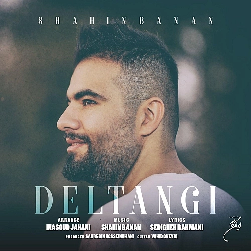 Cover artwork for Deltangi by Shahin Banan